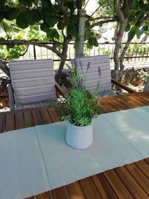 Near Beach - Apartments Marica Rovinj Exterior foto